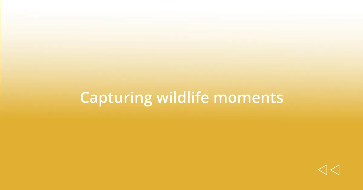 Capturing wildlife moments